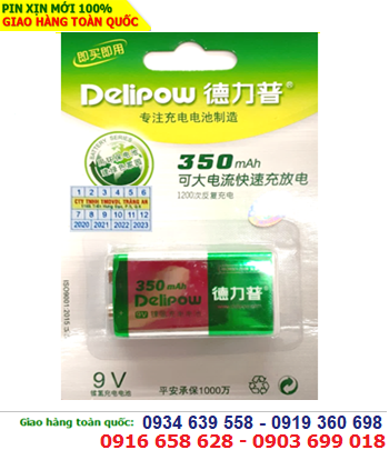 Delipow 9v350mAh; Pin sạc 9v Delipow 9v350mAh _Made in China _ Bảo hành 03 tháng _Vỉ 1viên